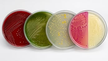 AET and preservative Efficacy