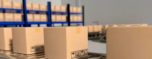 Labeling Cartoning