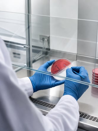 Microbial suitability testing