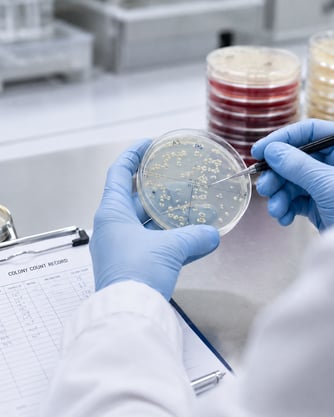 aerobic microbial enumeration