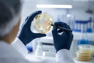 microbial enumeration methods