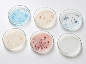 specified microorganisms